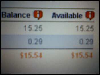 20100622savings